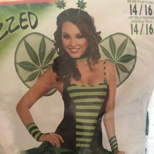 Cannabis Fairy Costume
